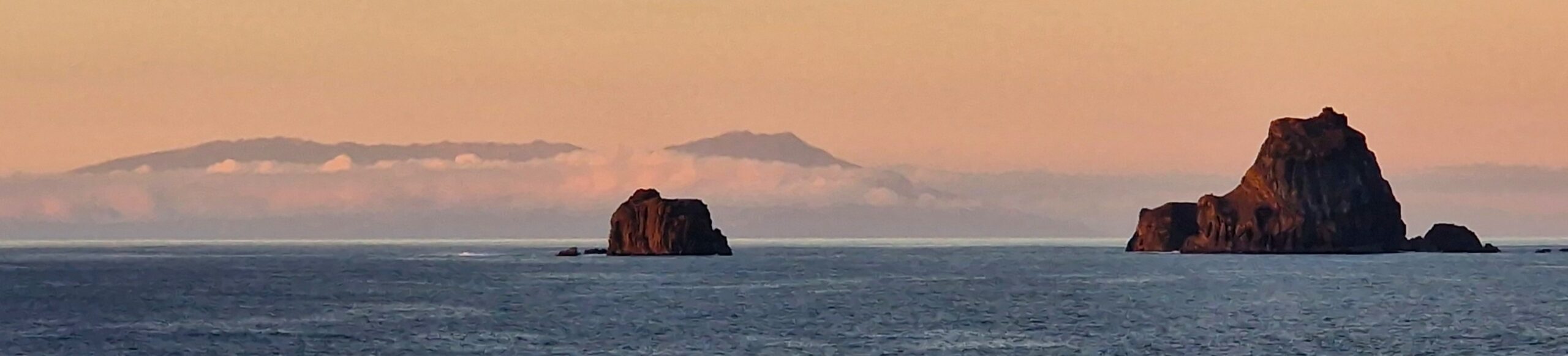 Unterwegs mit Franckhusanus